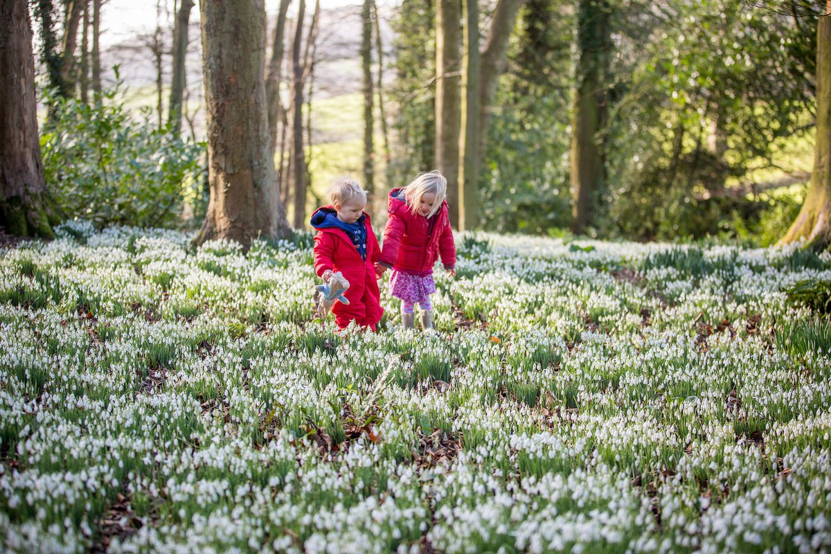 Christmas Cottage tweet media