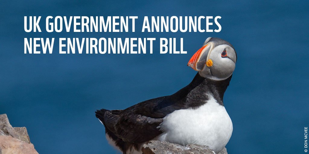 wwf_uk's tweet photo. At a time when #plastic is choking our oceans &amp; our #wildlife is in decline, this is welcome news from @10DowningStreet. RT to hold them to their promise to leave the environment in a better state for the next generation! #WhyNatureMatters https://t.co/RP8uBU8XFL
