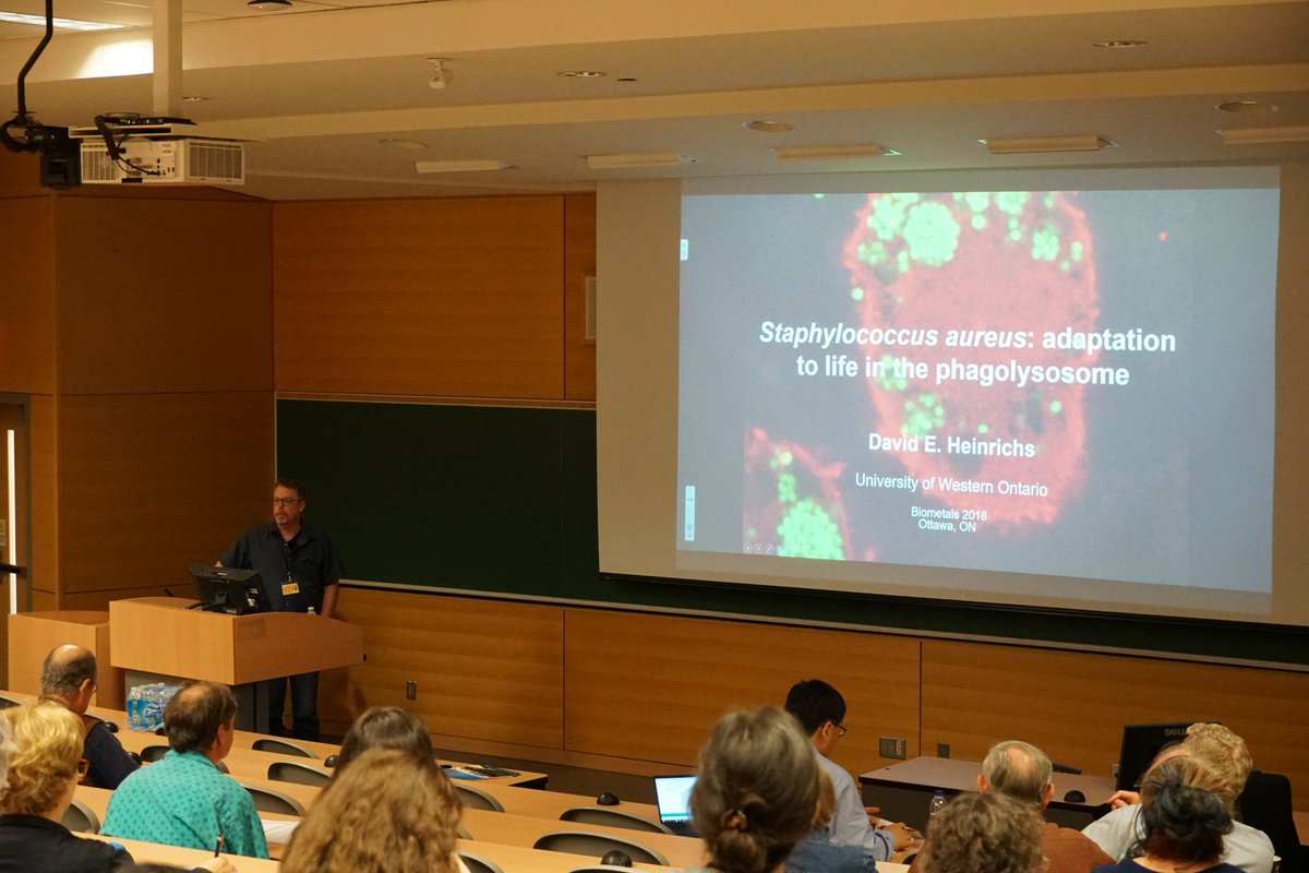 Alain Stintzi tweet media