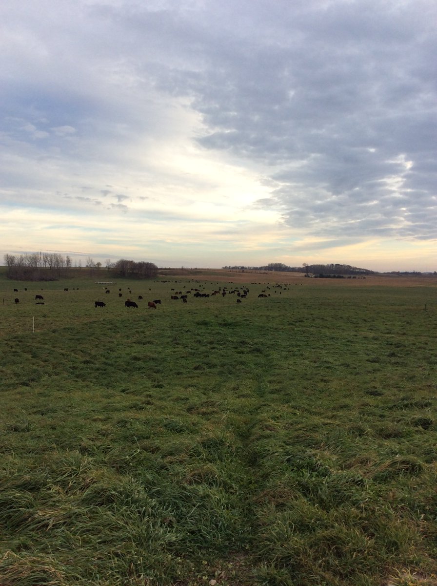 mcmovingforward's tweet photo. The Fountain Prairie Farm offers multiple Sustainable Agriculture workshop series. Be sure to checkout our website to see if any of the workshops are of interest to you! https://t.co/CltiuByfdV #mcmovingforward #FountainPrairieFarm #madisoncollege https://t.co/LJGmuAEel5