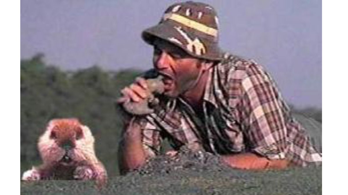 davidsbull65's tweet photo. When I found out we had a gopher problem I put my best man Carl on the issue. 4 hours later @philigoat1 found the gopher not golfer! https://t.co/P4gs5flH6T