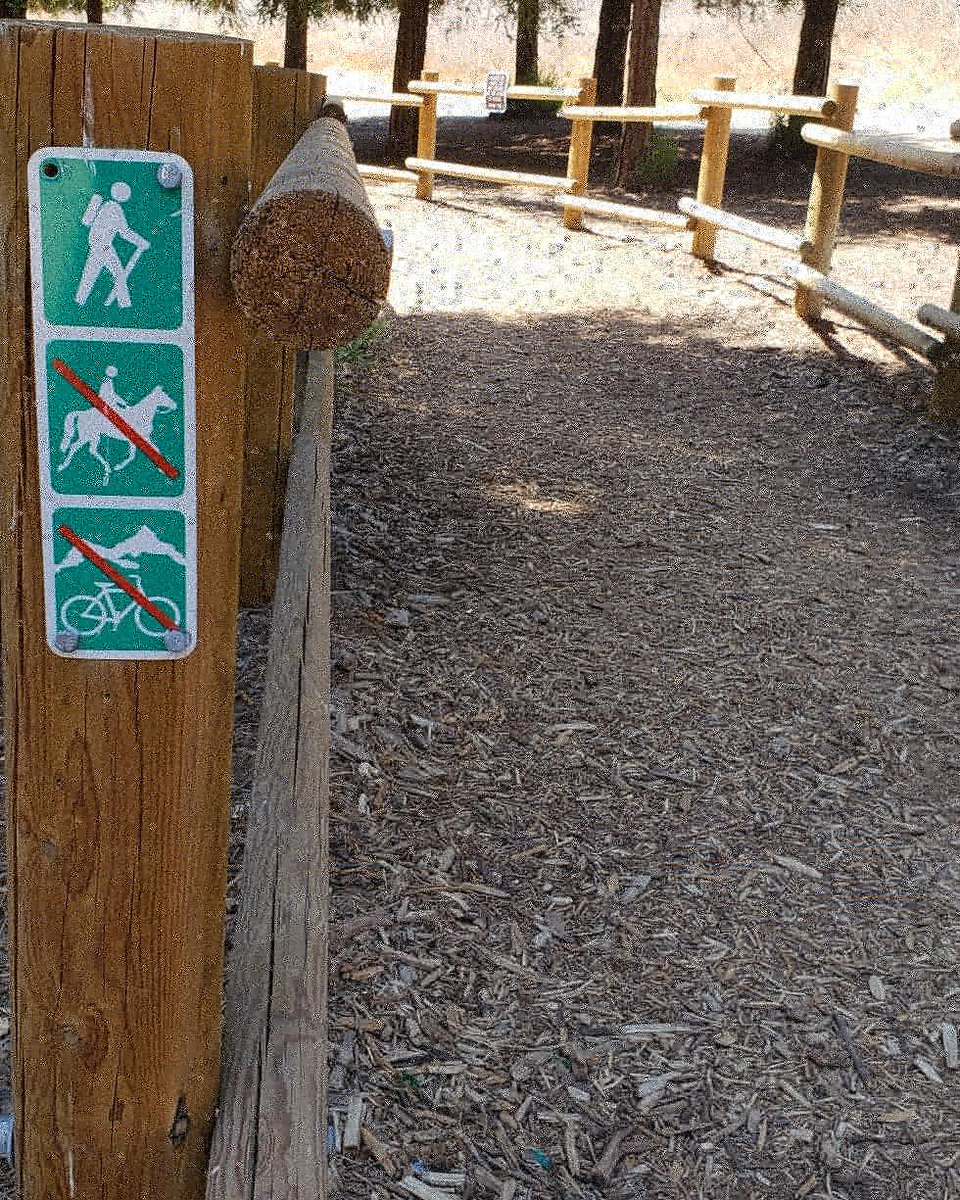 nerdybird_85's tweet photo. Hike #25 redwood grove trail
 #52hikechallenge2018 
#27moretogo https://t.co/kPWUKtYopo