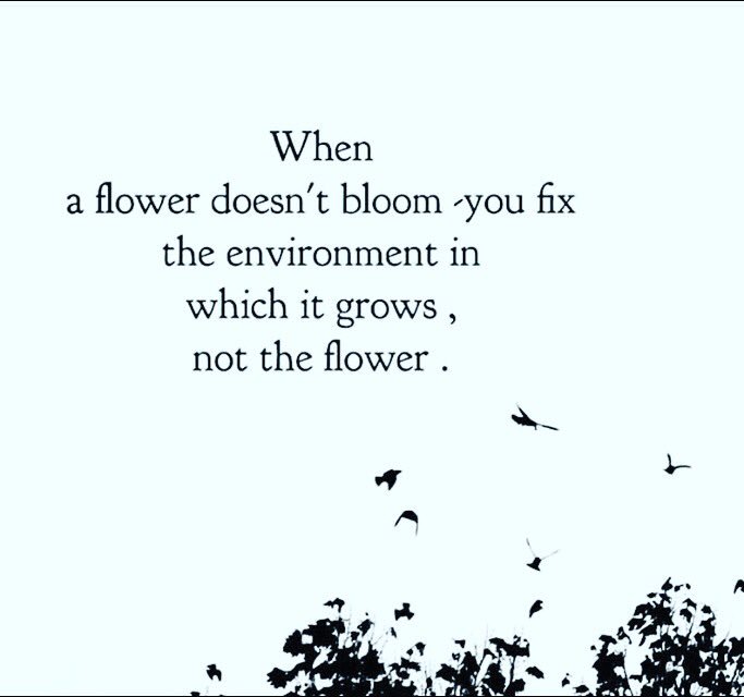 Från ett föräldraforum. #anpassaskolan