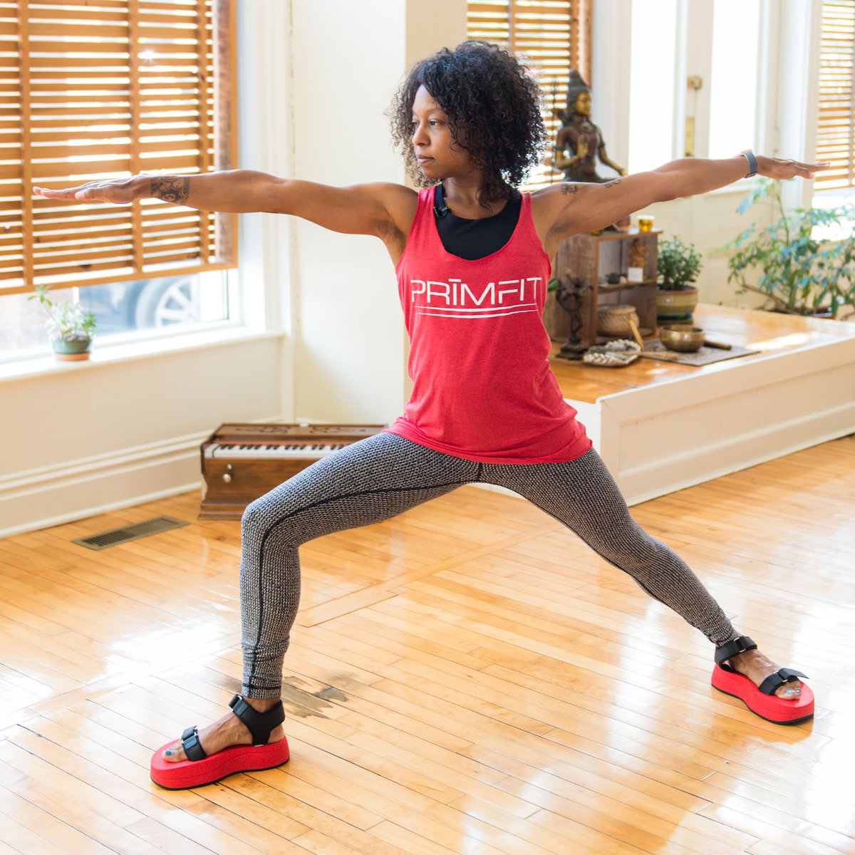 PRīMFIT tweet media