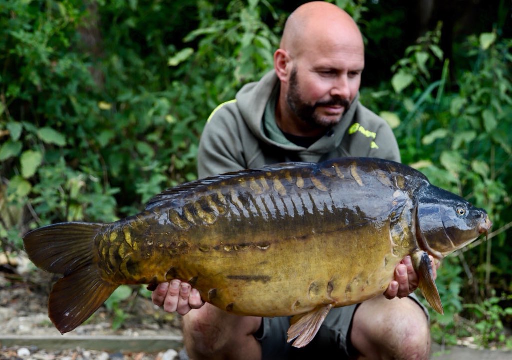 Dave Levy tweet media