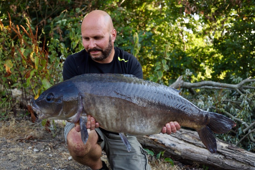 Dave Levy tweet media