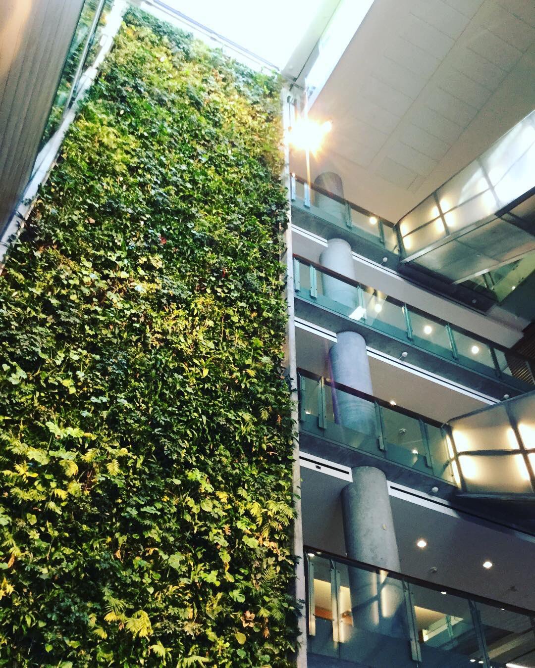 uOttawa on Twitter: "The 78-foot @uOttawaFSS living wall improves air ...