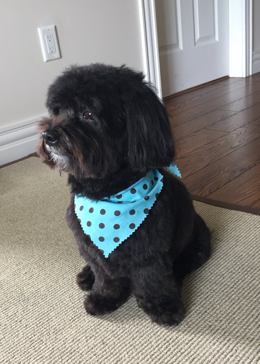 Merissa King tweet media