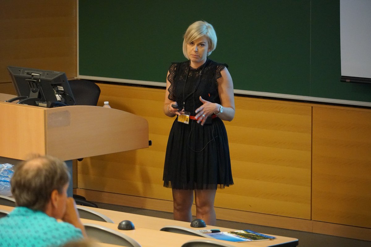 Alain Stintzi tweet media