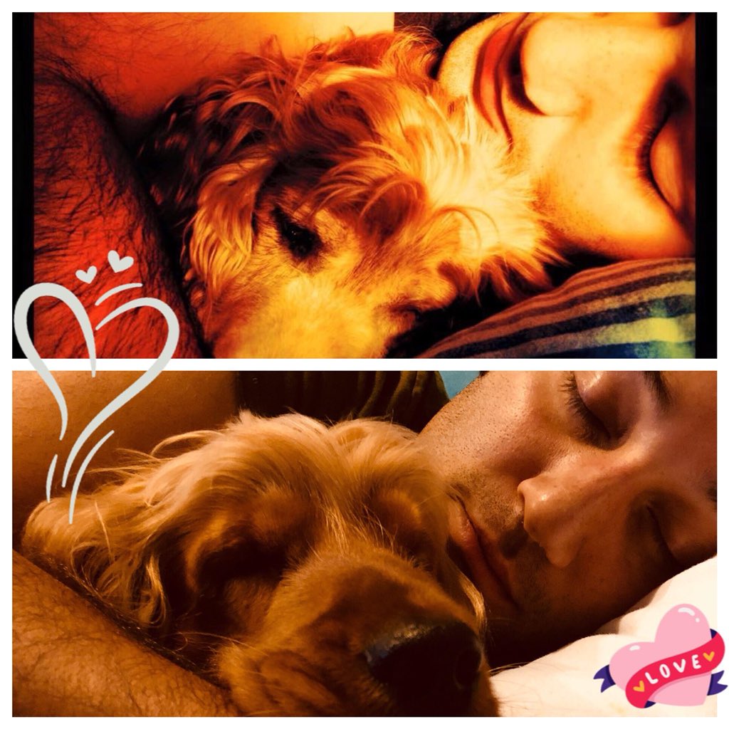 divyapalat's tweet photo. #WithMyCookie #WithMyMagic #MyLifeMyLoves #cockerspaniel #cockerspanielpuppy #mamasbabyboy #magic https://t.co/PQZYdsYlTS