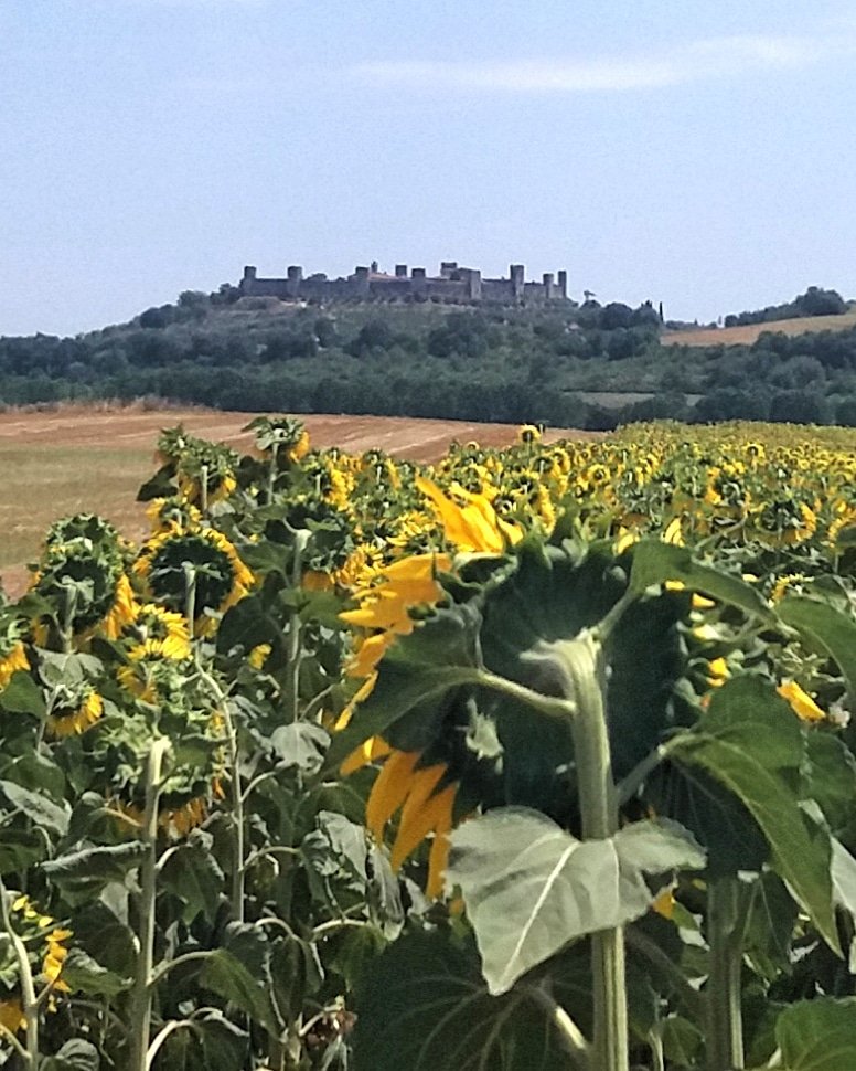 SienaBikeTour's tweet photo. Until the XI century #Monteriggioni was a station of standstill on the Francigena Road in #Tuscany #viafrancigena #history #suflower #siena #summer2018 #biketour #ebike #estate2018 #Sienabiketour https://t.co/uV138MRVKF