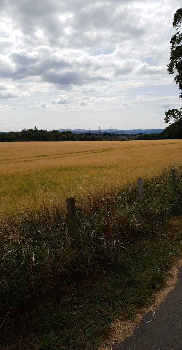 mrs_martin_2012's tweet photo. When you don't want to help your neighbours in the garden... you walk their dog #alloa #summerviews #dogwalking #offthexbox #burningoffcakes https://t.co/bXGylfdLag