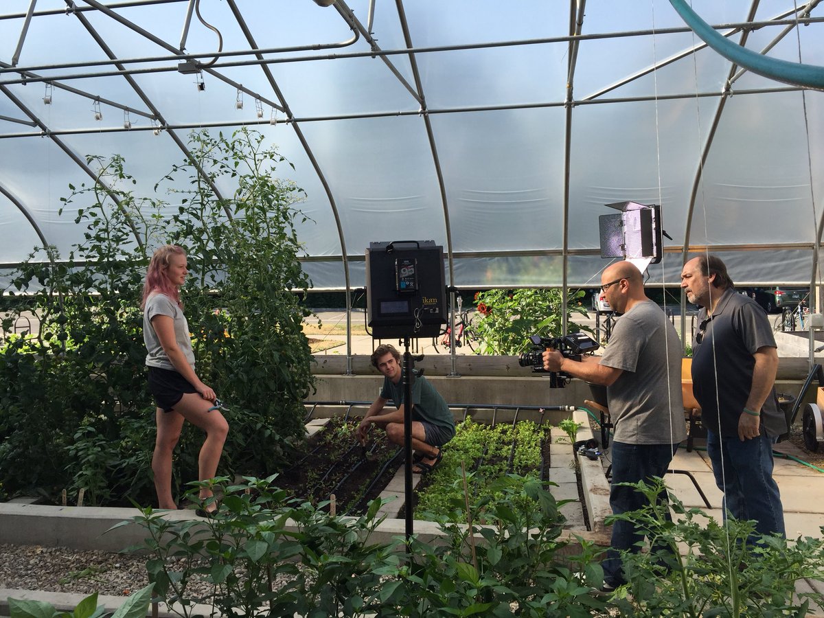 msuRISE's tweet photo. We took a break from harvesting to shoot film for a welcome video featuring (among other @michiganstateu programs) @baileyurbanfarm! #GoGreen #msurise https://t.co/BCP7UmKVp0