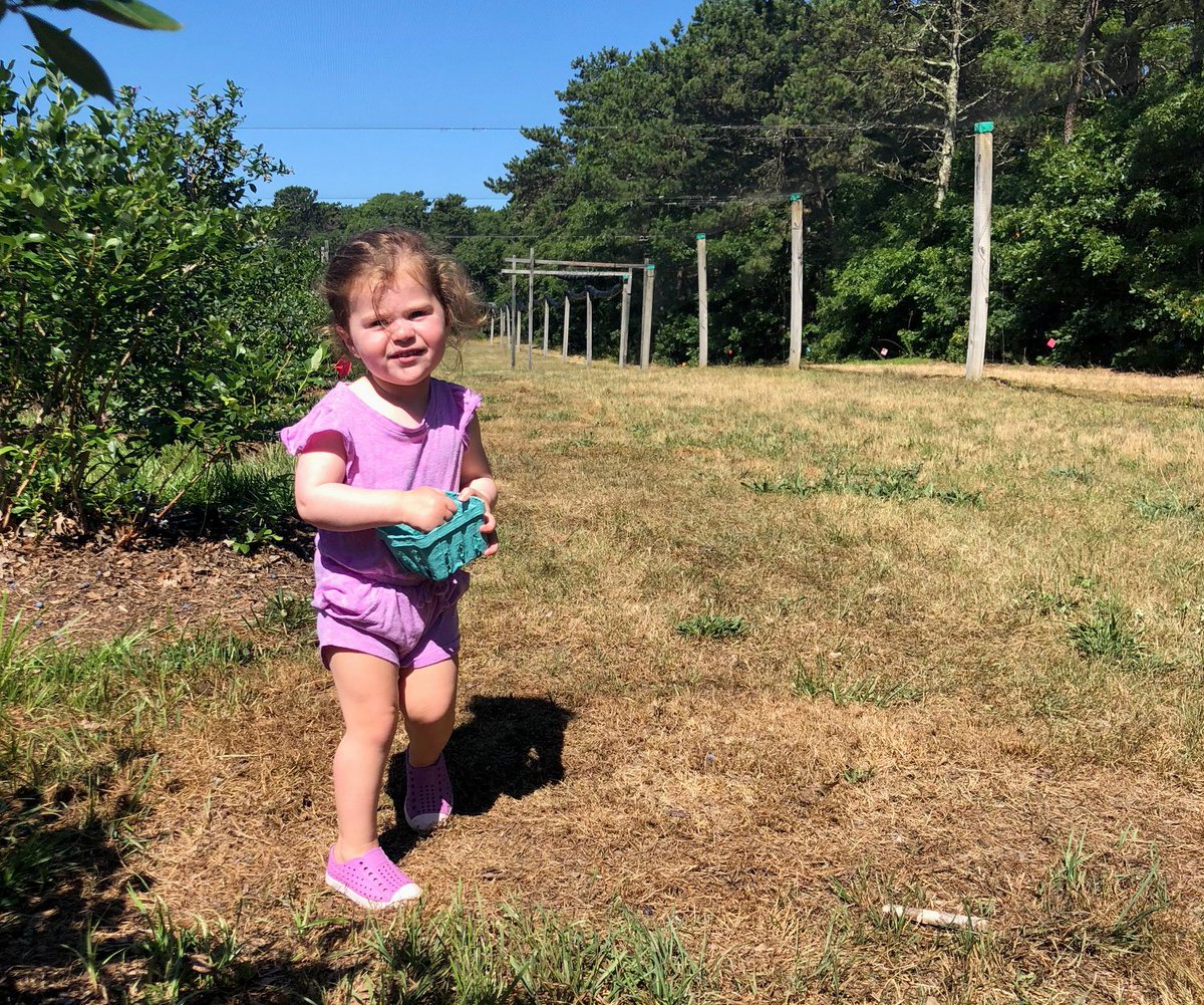 Cape Cod Magazine tweet media