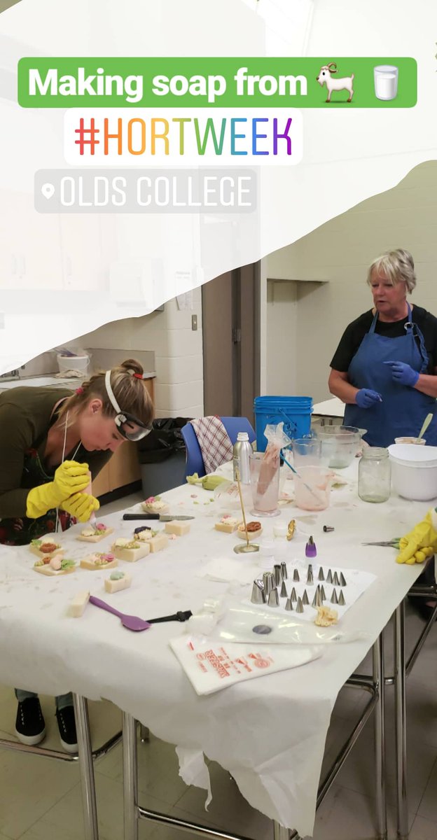 OldsCollege's tweet image. Today is the final day of #HortWeek! How quickly time flies when you're having fun and learning how to bring #agriculture into your own home!

#gardening #handmadesoap #pollinators #arboriculture #herbs