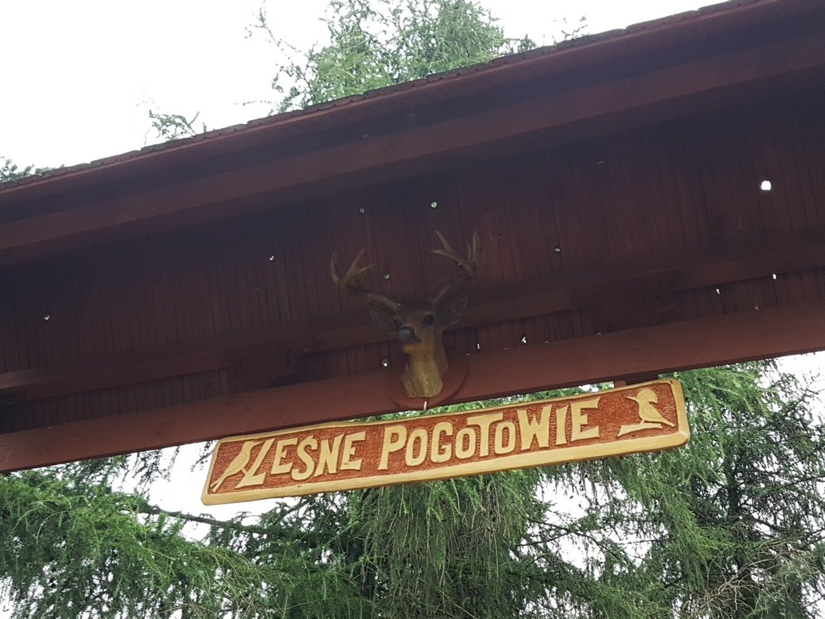 endriu_l's tweet image. Misja na dzis - ratować #jerzyk.a