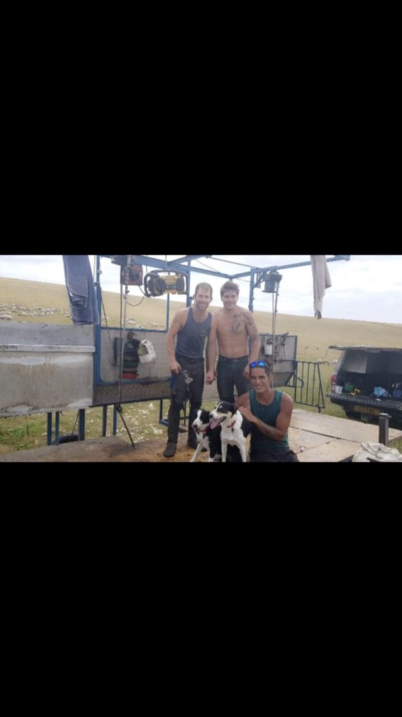 ed_gingell's tweet photo. 36000 sheep, 2 boys, 1 Rousie - done. Great season, great team, great weather. @natsheep @EnglandShearing @sheep365 @BritishWoolFarm @sheep_farmers https://t.co/6eenVYrbWB
