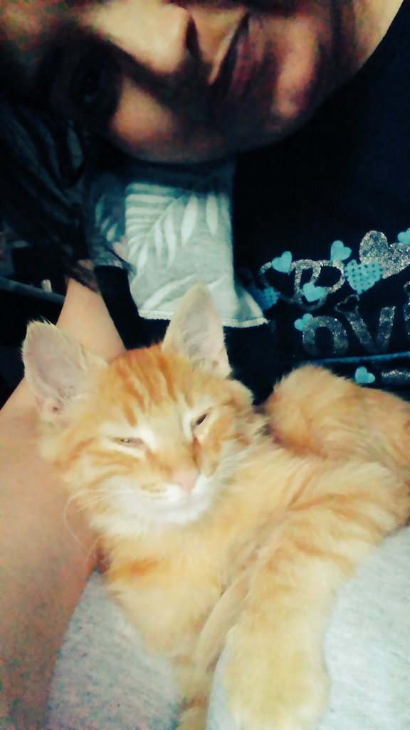 Margaritamtlp's tweet photo. Con un sueño terrible mi #Ronro 😍 https://t.co/DeKyEbYte8