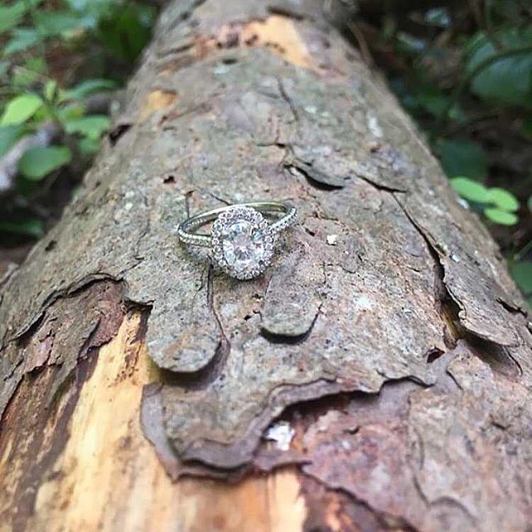 MartinFlyer's tweet photo. Shinning moments. โ
Engagement ๐ by #flyerfit
https://t.co/SwnEJ7fXGN
#engagement #ring #martinflyer #engaged #flyerfitbymartinflyer #flyerfit #gettingmarried #flyerfitlove #dreamscometrue #showmeyourring #inspiration #ThursdayMotivation https://t.co/6JBu2Q5dOj