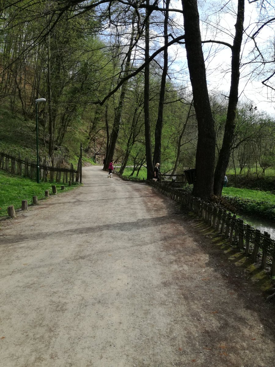 GocaVucetic's tweet photo. Ako izađete iz velikih gradova možete sresti neke plemenite ljude koji žive u skladu sa prirodom.Ja sam im se pridružila par meseci🍄🍏🌻 https://t.co/4GjNNXCk30
