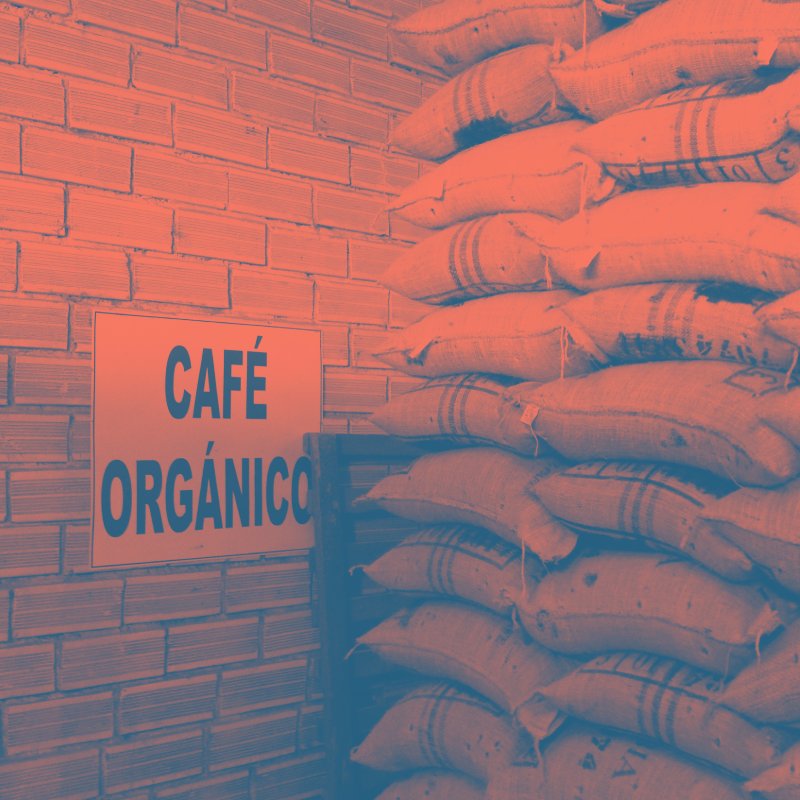 SpecialtyCoffee's tweet image. ASIC Portland Topic Highlight: Biochemistry and Biotechnology of Green Coffee 🌱
Understand the maturation process and biochemical transformations that happen to a green coffee bean as it grows. Only at #ASICPortland. 

#coffeescience #foodscience #Portland #ASIC