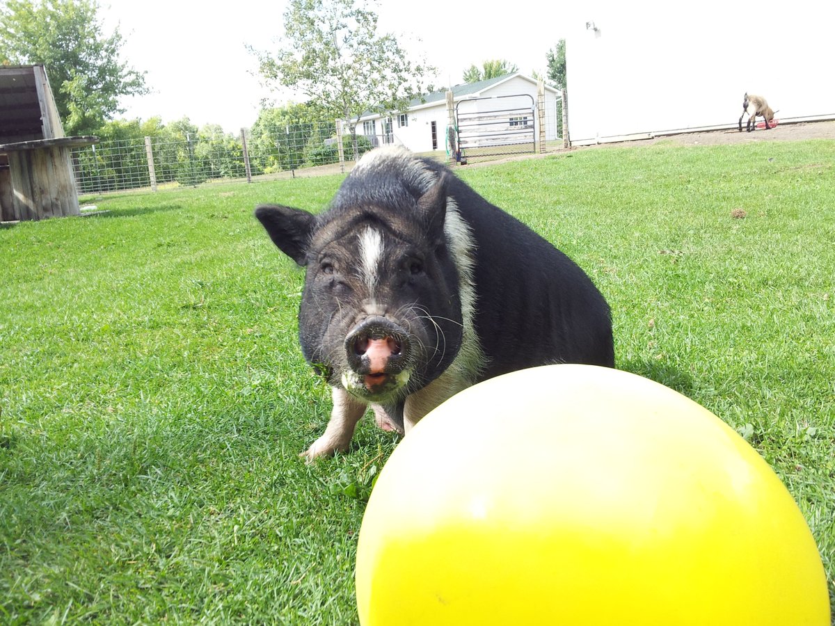 Federated Co-ops tweet media