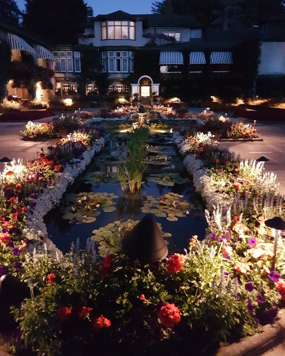 MrsIlott's tweet photo. @butchartgardens Night Illumination is #beautiful. A visit is mandatory. 🌺

#yyj #summer2018 #getoutside #nature #mentalhealthmatters #natureistherapy #roses #flowers #nighttime #staycation https://t.co/4Y0ryjmOh6