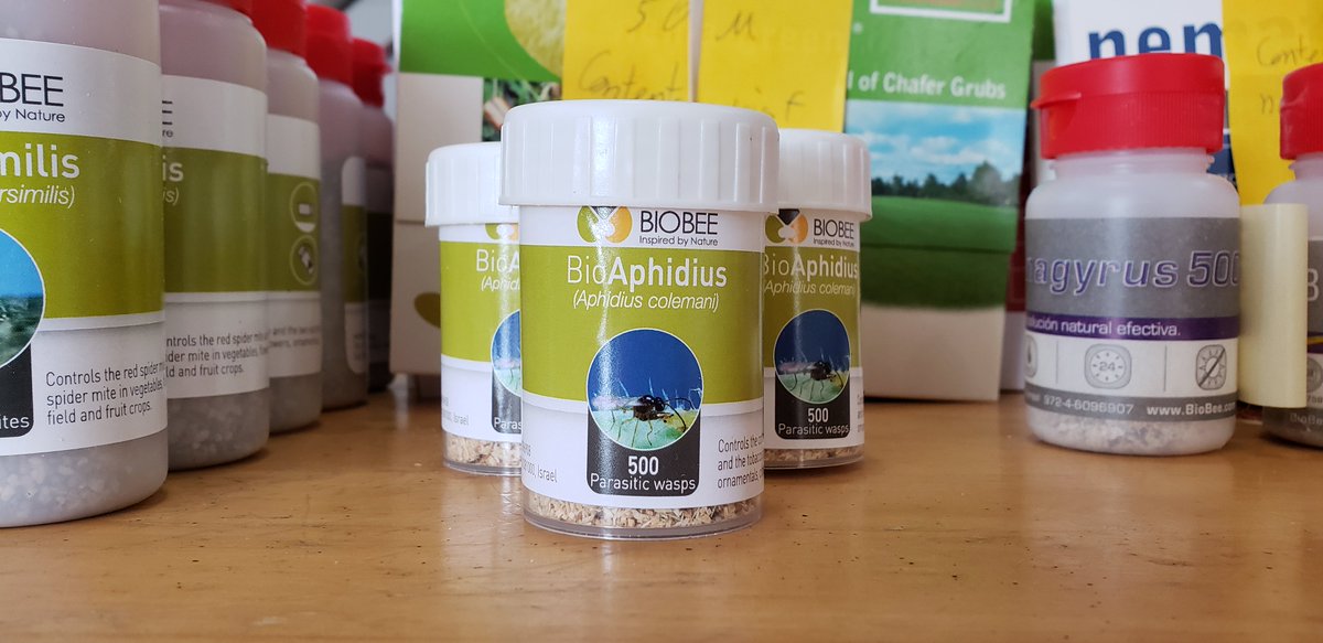 Suzanne W tweet media