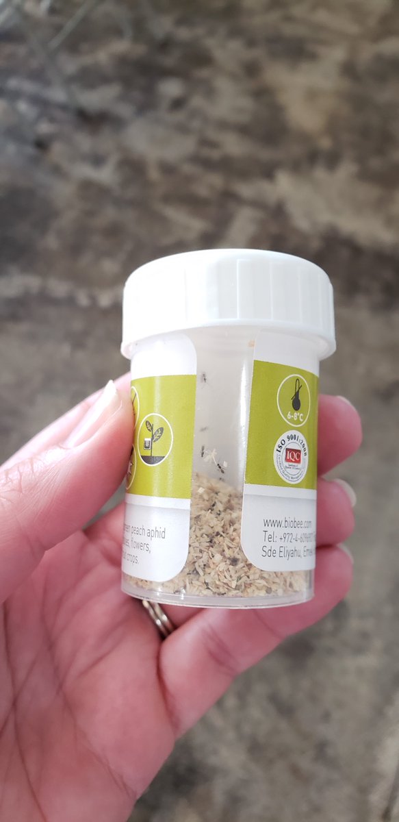 Suzanne W tweet media