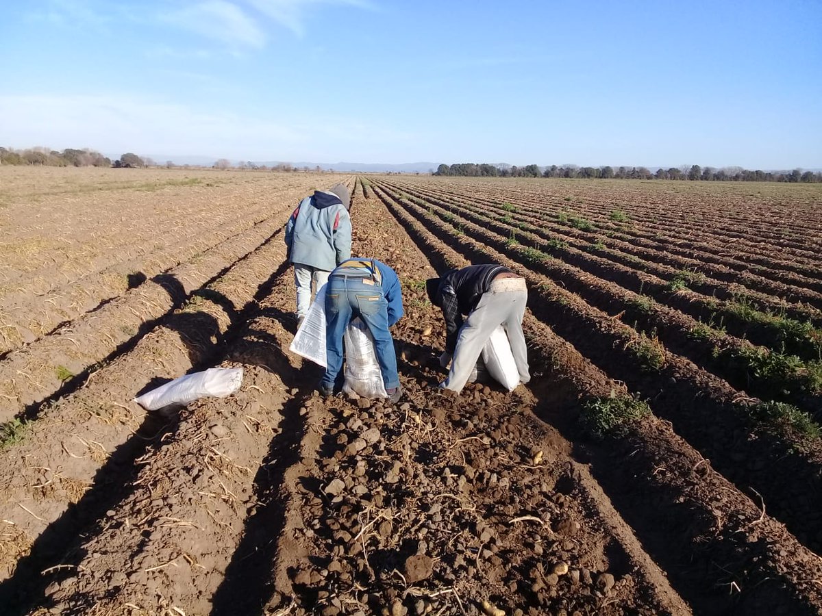 María Eugenia Bai tweet media