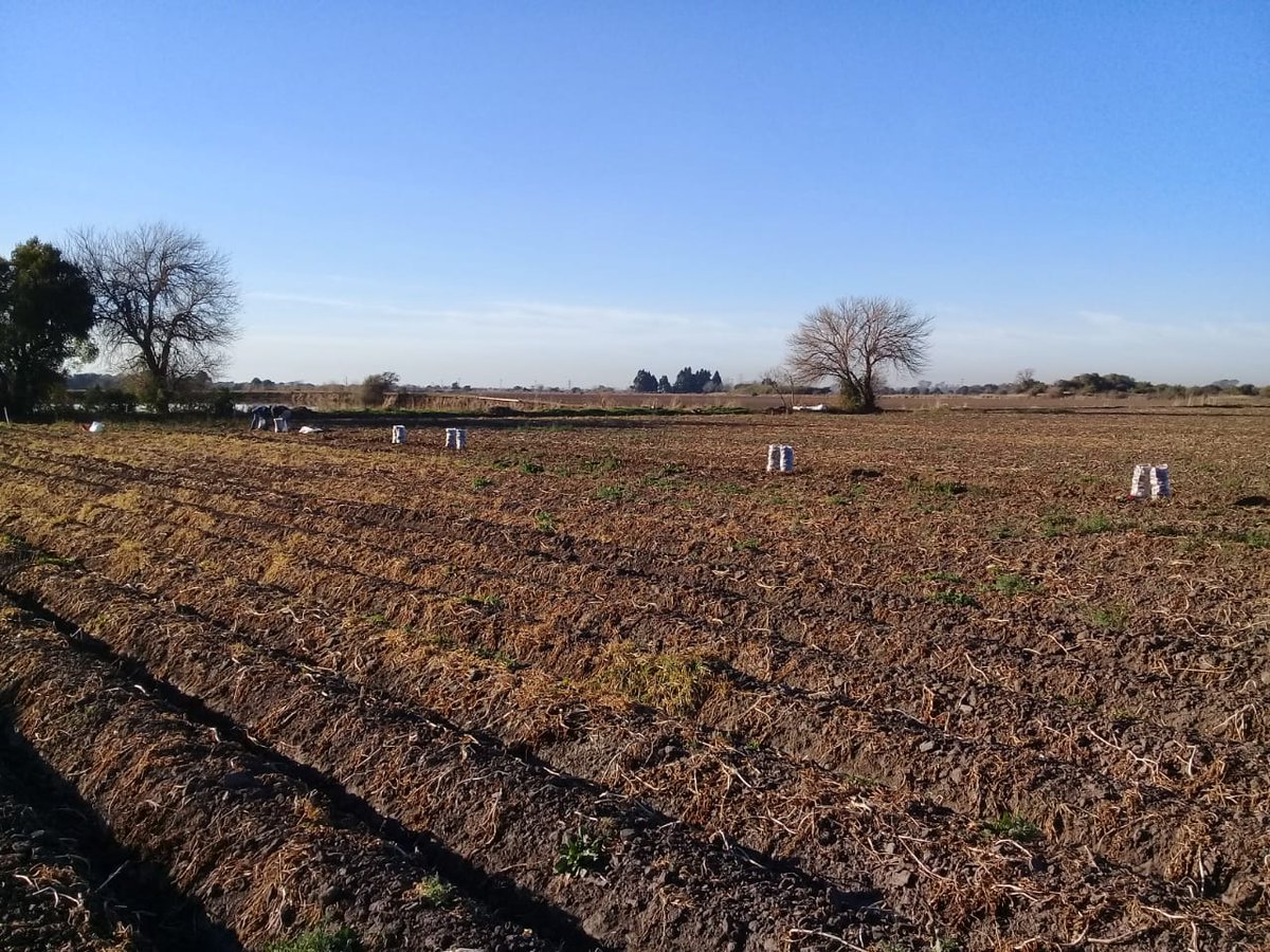 María Eugenia Bai tweet media