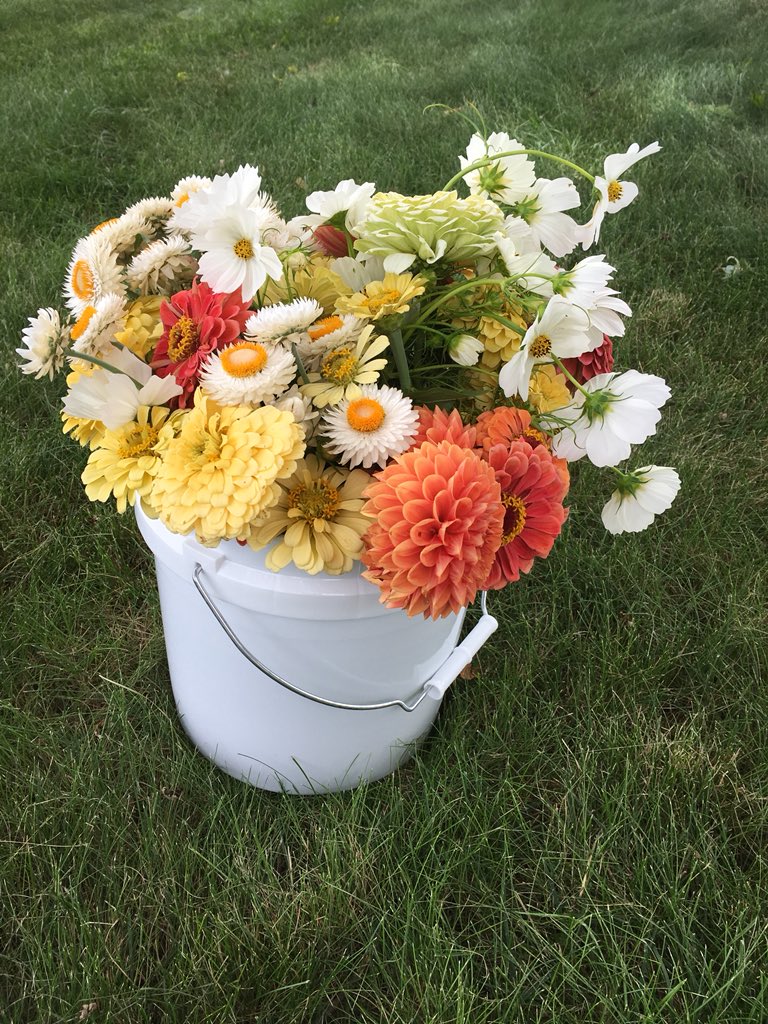 Oppervlakkig Kritisch fotografie Josh Mabie on Twitter: "So proud to report that Kerstin just sold her first batch of Pied Beauty Farm flowers for a Briar and Blush wedding arrangement. #realfarmer https://t.co/EPL3OuUlJJ" / Twitter Oppervlakkig Kritisch fotografie Josh Mabie on Twitter: "So proud to report that Kerstin just sold her first batch of Pied Beauty Farm flowers for a Briar and Blush wedding arrangement. #realfarmer https://t.co/EPL3OuUlJJ" / Twitter