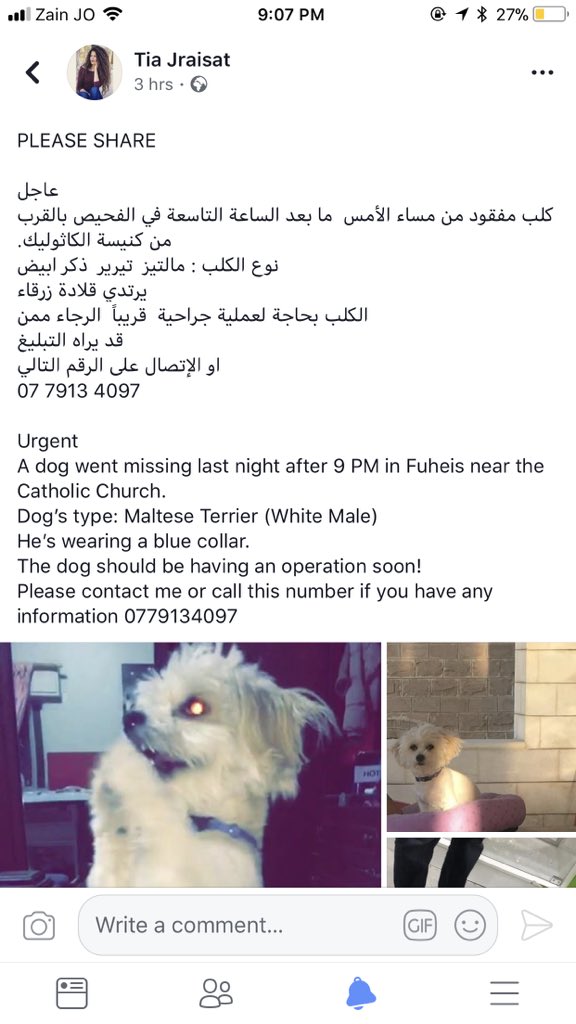 FarahElRifai's tweet photo. Guys please retweet https://t.co/YghxSrxAqe