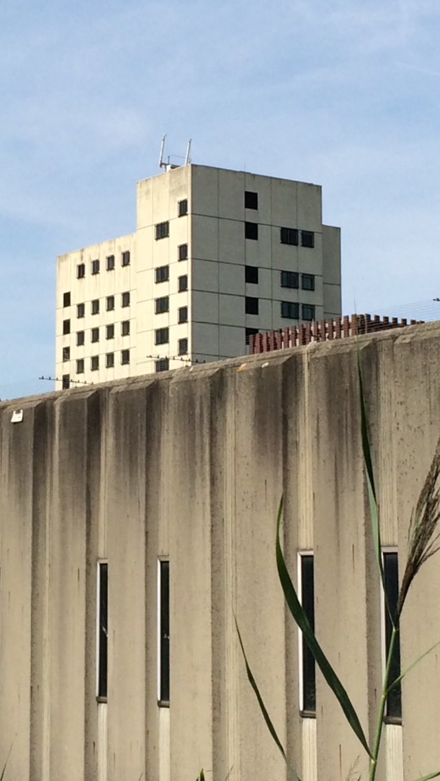 studioengel's tweet image. Geen commentaar...