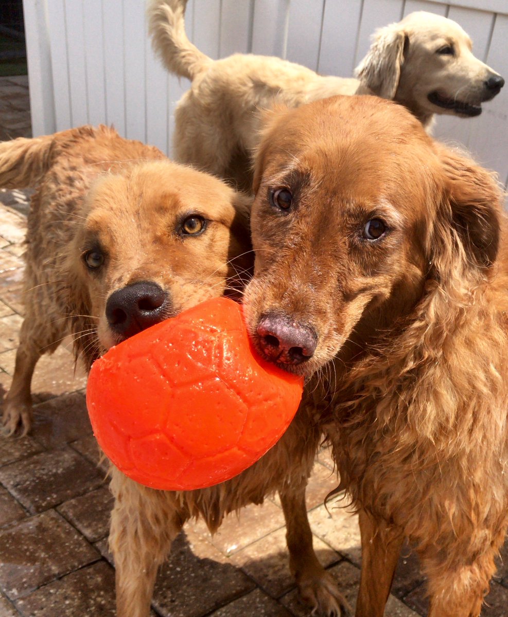 PPRUniversity's tweet image. Who are you placing your money on in this intense tug-of-war showdown?