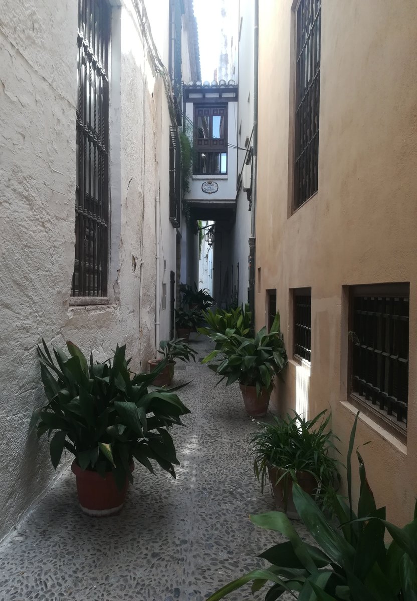 lomejorgranada's tweet photo. El lujo de perderse por el Albaicín.

Un barrio único que muestra autenticidad, historia, arte y tradición a cada paso, en cada esquina.

#Granada #Albaicín #Afortunados #PatrimoniodelaHumanidad https://t.co/nKnC493QIN