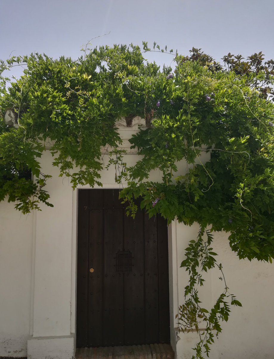lomejorgranada's tweet photo. El lujo de perderse por el Albaicín.

Un barrio único que muestra autenticidad, historia, arte y tradición a cada paso, en cada esquina.

#Granada #Albaicín #Afortunados #PatrimoniodelaHumanidad https://t.co/nKnC493QIN