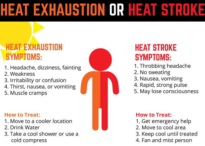 “Heat stroke or heat exhaustion? 