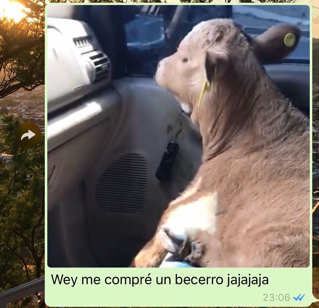*necesito ahorrar*

yo 30 minutos después: