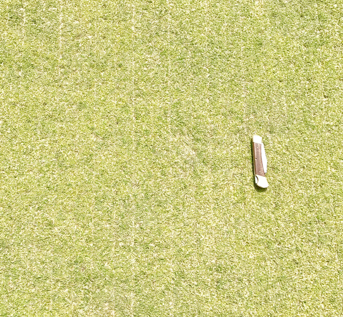GavNeill's tweet photo. Before and after pics of this afternoons overseeding trial of a vreedo (1 pass) fescue , followed by pro seeder (1 pass) bent , topdressed , worked in with dew brush then rolled @TheHomeofGolf @BarenbrugUK #minimaldistruption #slitseeding #potseeding https://t.co/mC0o6Zxkm7
