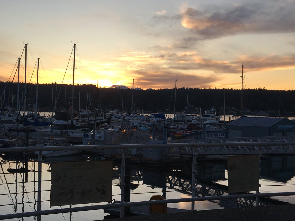 Eikram14's tweet photo. I always want it to be autumn in the PNW and to be climbing a mountain or standing on a rocky beach and looking at the fall colors, honestly. #PacificNorthWestIsBest https://t.co/bNoG3ESW0T
