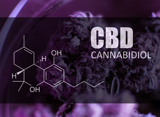 AmShamanLiberty's tweet image. "With the growing awareness of #CBD as a potential health aid there's also been a proliferation of misconceptions. Find questions and responses to common misinformation." Read more via ProjectCBD.org: 
projectcbd.org/guidance/cbd-m…
#CBDMisconceptions