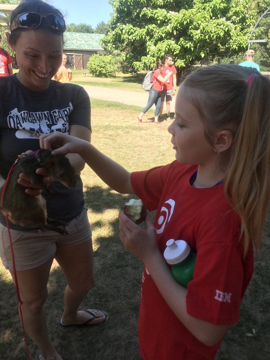 vicandsar's tweet photo. What a perfect sunny day to spend at the Zoo! We had a blast petting, feeding and seeing all the different animals!🦁🐰🐸🐒🐴 https://t.co/WSdP3GDc1P