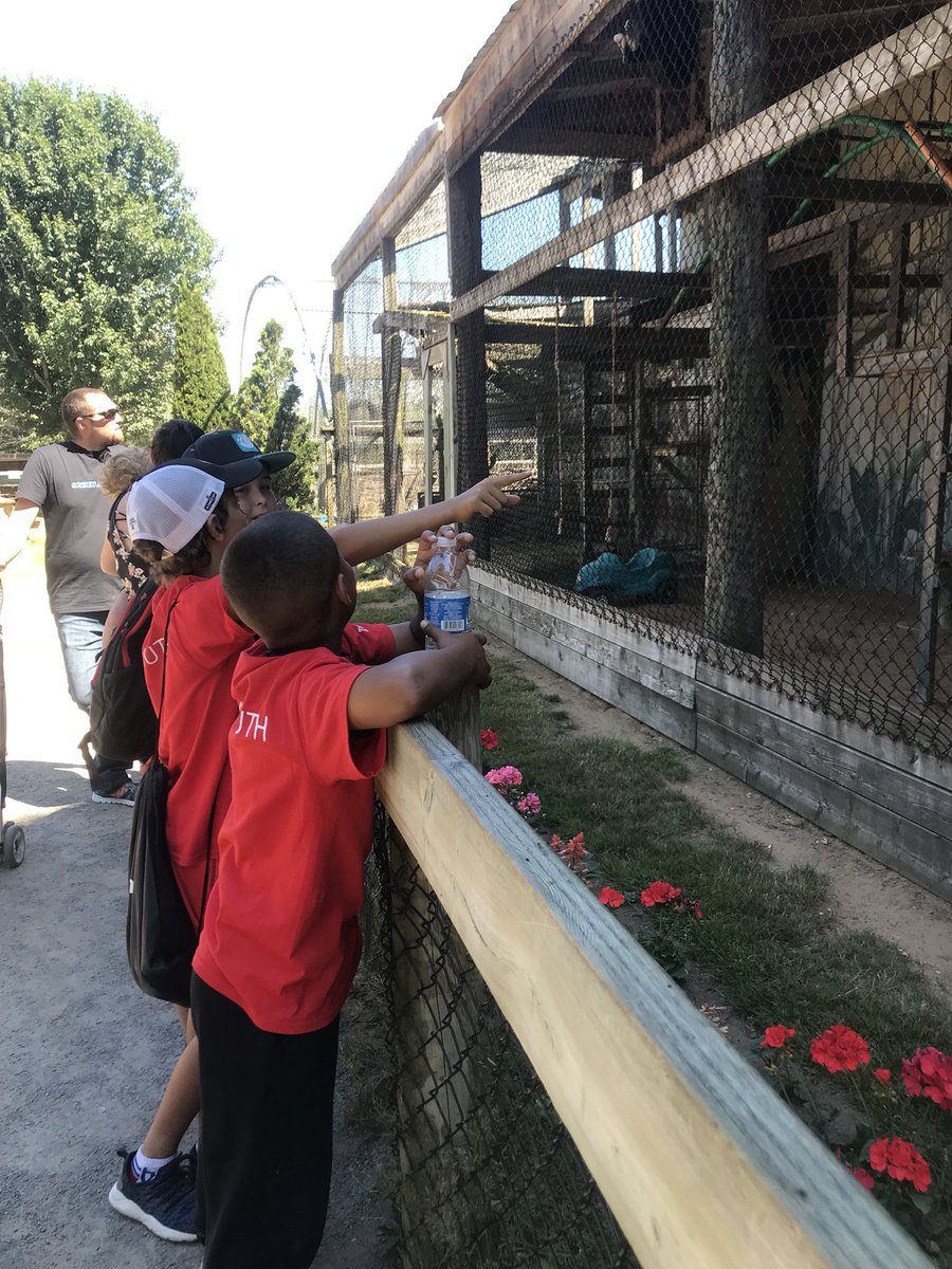vicandsar's tweet photo. What a perfect sunny day to spend at the Zoo! We had a blast petting, feeding and seeing all the different animals!🦁🐰🐸🐒🐴 https://t.co/WSdP3GDc1P