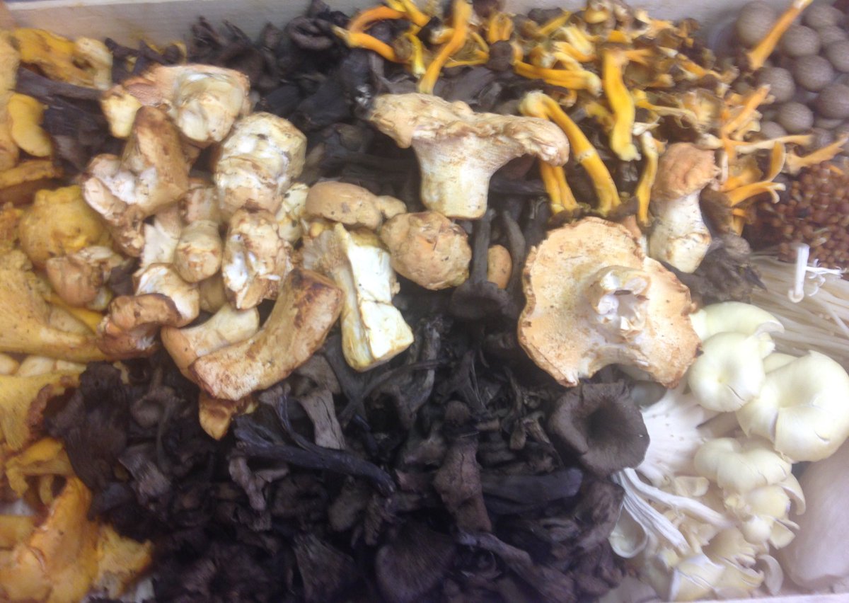 Mushroommrs's tweet photo. Nice #mushroom mix today. https://t.co/7atgBJOka3