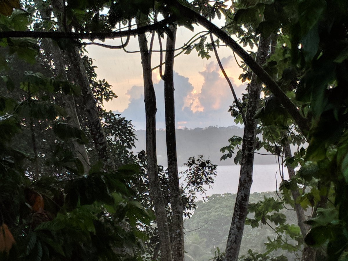 ufWetland's tweet photo. Trey Crouch, @ufwater Graduate Fellow & @essie_uf PhD student, in the field: 15 days on the Brazilian Mamoré and Madeira Rivers collecting data for hydraulic and sediment models to assess the #sedimentation behind 2 new #runofriver #dams. @WatershedEcol @adn_rba @TCD_UF @LatamUF https://t.co/u2CDQx2gtS