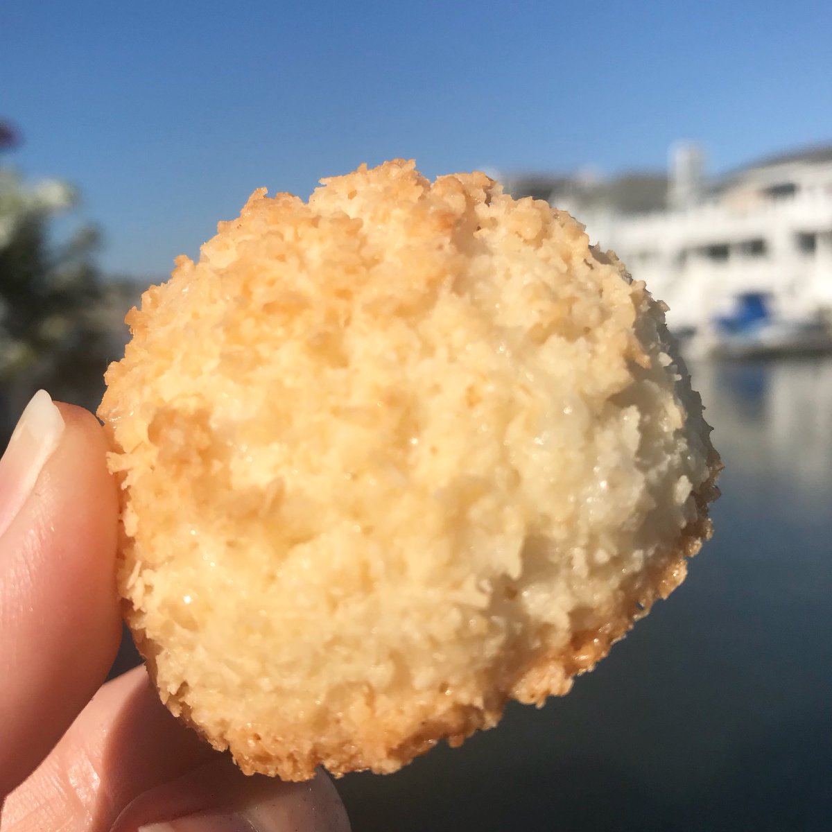 This Bay Day just got so much sweeter .....😍🥥🥥🥥 #baydaysarethebestdays #mmmm #macaroon #coconut #coconutmacaroons #kohlersmacaroons #fresh #sweettreats #cookies #yumyum #bestyoueverhad #delish #eeeeeats #kohlers #kohlersbakery #downtheshore #avalonnj #stoneharbor #yelpreviews