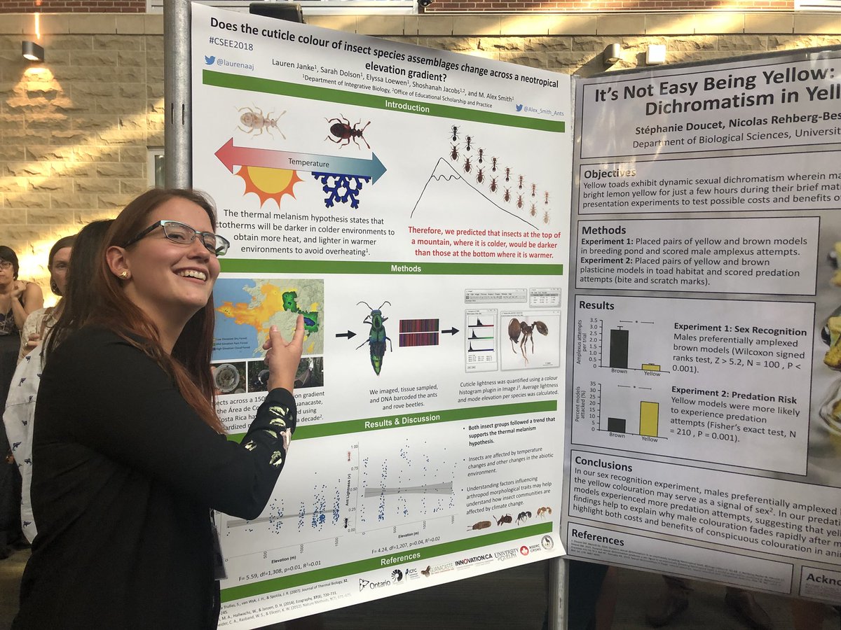 shoshanahjacobs's tweet photo. @Alex_Smith_Ants : so proud of @laurenashleyann ! Make sure to check out her #lowtext poster on what happens up a mountain.
Hint: colours change! #CSEE2018 https://t.co/qz1RFgWdSb