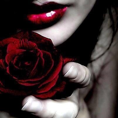 CreatiOfDeath's tweet image. 🥀Not new to character or verse

🥀multiship, ships with chem

🥀(n)sfw, lewd in DMs ONLY (18+, earned)

🥀serious/non

🥀lit./disc.

🥀❤️/🔁?