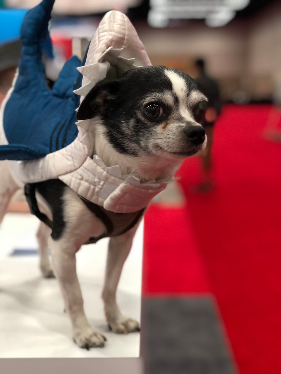 digitalocean's tweet image. Spotted at #OSCON: a shark in open (source) water! #oscon2018